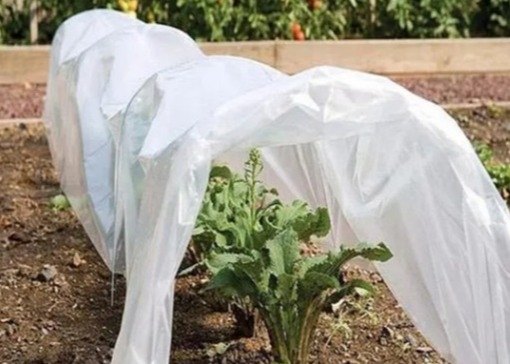 comprar Tecido não tecido 100% de polipropileno ecológico para pavimentação agrícola online manufacture