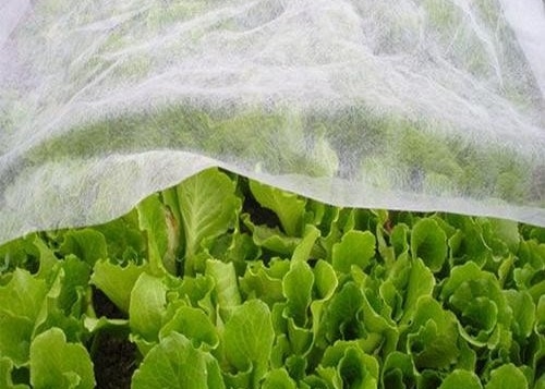 comprar Transmissão de luz térmica para agricultura online manufacture