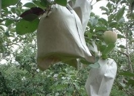 comprar Tecido não tecido 100% PP Largura 10-320cm para sacos de frutas Mantenha-se quente online manufacture