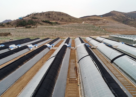 comprar Fornecedor ou Fabricante ou Fábrica de tecidos de controlo de ervas daninhas agrícolas online manufacture