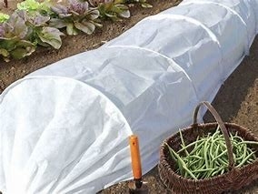 comprar Agricultura Tecido de barreira contra ervas daninhas para manter a temperatura Tecido de controle de pragas para atacadista online manufacture