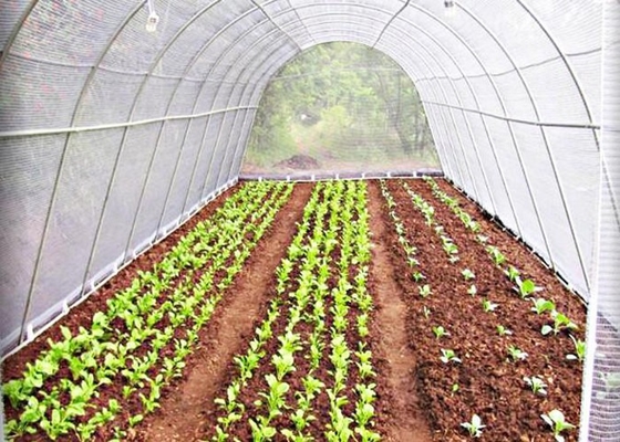 comprar Tecido não tecido hidrofóbico para manutenção da temperatura / hidrofílico para manutenção da humidade para a agricultura online manufacture