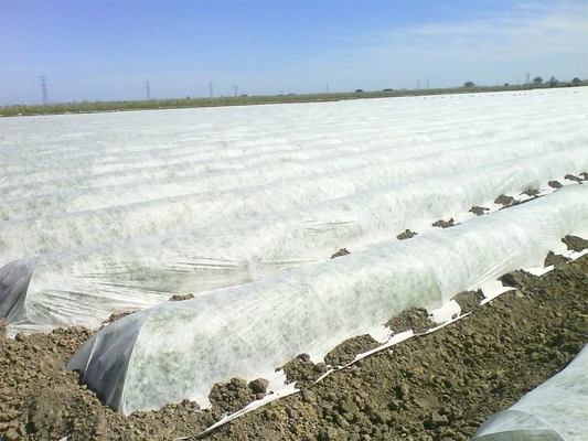 comprar Tecidos não tecidos à prova de frio, à prova de insetos, à prova de calor online manufacture