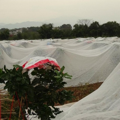 comprar Isolamento térmico Agricultura Sementeira não tecida Cultivo de sementes Reserva de água Controle de ervas daninhas online manufacture