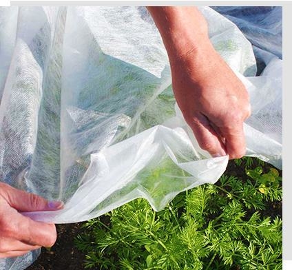 comprar 6400 mm Tecido não tecido agrícola para controlo de ervas daninhas 60 gm online manufacture