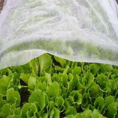 comprar Hygiene Agriculture Industry PP Nonwoven Fabric Hydropilic / Hydrophobic online manufacture