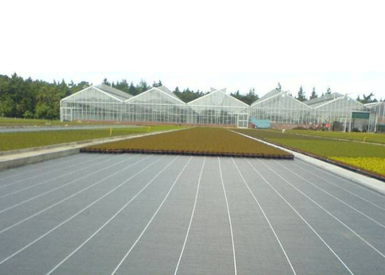 comprar A tela da vegetação rasteira do jardim/tela não tecida do controle de ervas daninhas para mantém a temperatura online manufacture