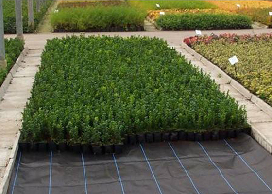 comprar Antigelo respirável não tecido da planta/vegetação rasteira da tela da agricultura do assassino de erva daninha online manufacture