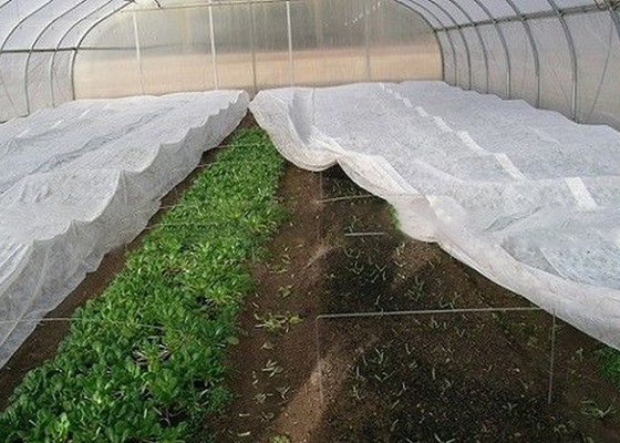 comprar Tela não tecida PP do controle de ervas daninhas da paisagem material para os jardins home que jardinam livre online manufacture