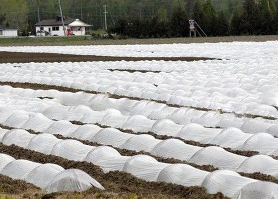 comprar Tela não tecida amigável da agricultura de Eco com OEM/ODM tratados UV de 1% - de 4% disponível online manufacture