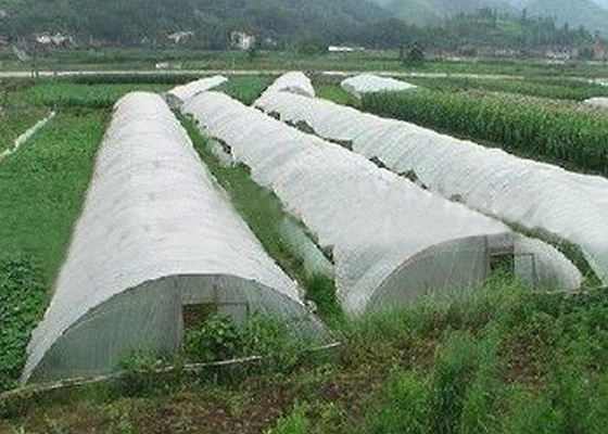 comprar Cores não tecidas de pouco peso da tela da agricultura várias disponíveis online manufacture