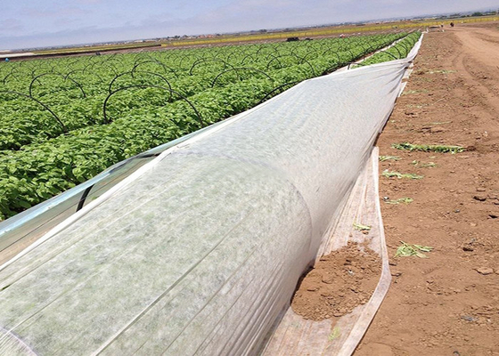 comprar Material 100% não tecido agrícola antienvelhecimento do polipropileno da tampa da colheita online manufacture