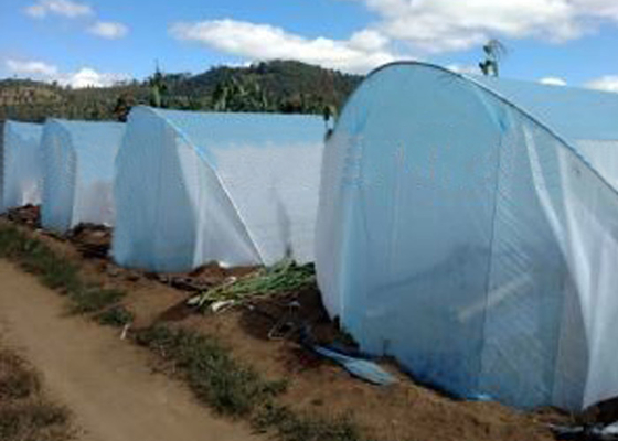 comprar Material 100% não tecido alto do polipropileno do Virgin da tela da agricultura da tensão online manufacture