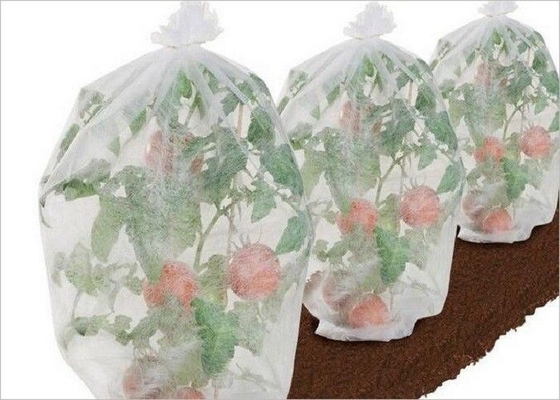 comprar Tela de tecelagem não amigável dos PP da agricultura de Eco ODM tratado UV do OEM de 1% - de 4% online manufacture