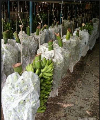 comprar Oídio de jardinagem da largura da tela de tecelagem não 320cm da agricultura do passatempo anti online manufacture