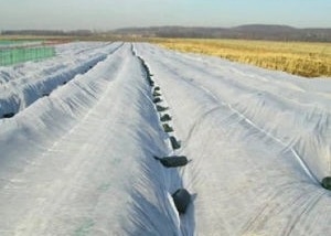 comprar Estática hidrofóbica respirável da tela de tecelagem não dos PP anti para a agricultura online manufacture