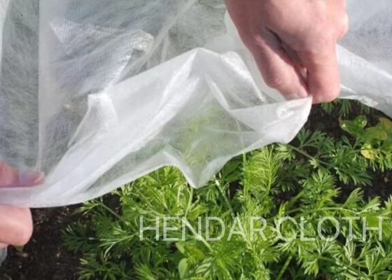 comprar Fruto que envolve a tela não tecida 3200mm dos PP Spunbond de pano personalizados para a agricultura online manufacture