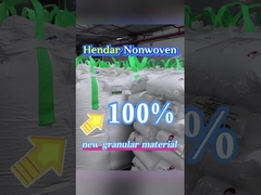 Quem pode proteger a saúde de 400 milhões de mulheres?