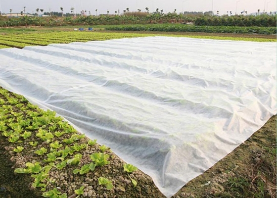 Tecido não tecido PP Spunbond para aplicações agrícolas