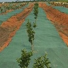 Tecido não tecido de barreira de ervas daninhas