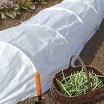 Para plantação de culturas de uso agrícola não tecido China fábrica de fornecimento direto exportação