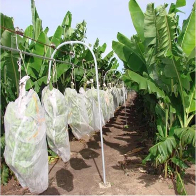 Sacos de cobertura de frutas não tecidas respiráveis não tecidos agrícolas para proteção de bananas e uvas