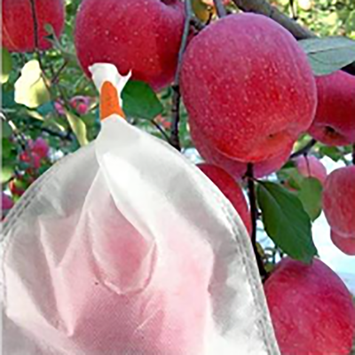 Anti saco hidrofóbico não tecido agrícola UV do fruto dos PP protetor para a banana de Apple